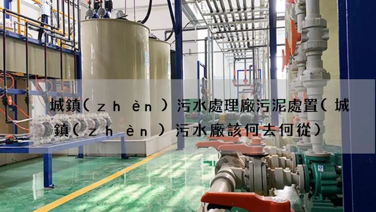 城鎮(zhèn)污水處理廠污泥處置(城鎮(zhèn)污水廠該何去何從)